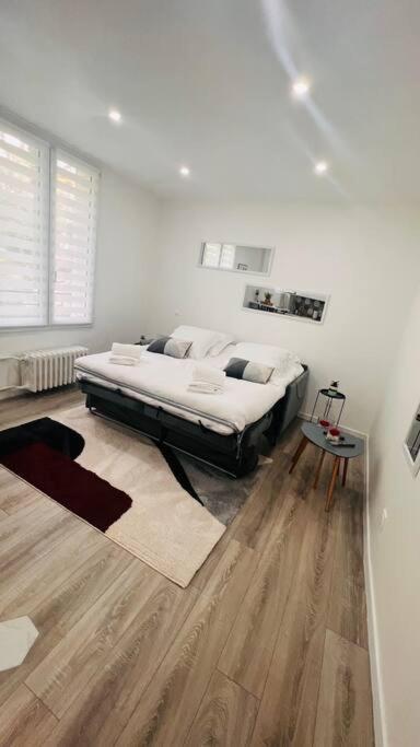 Appartement Cosy Buttes-chaumont